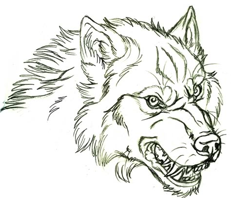 Cool Wolf Drawings, Wolf Face Drawing, Wolf Face Tattoo, Draw Wolf, Werewolf Drawing, Anime Wolf Drawing, Angry Wolf, Wolf Sketch, Cartoon Wolf