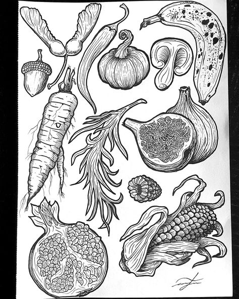 Hand drawn Fruit and vegetables Vegetable Tattoo, Vegetable Drawing, Vegetable Illustration, Flowers Coloring, Food Drawings, Food Drawing, Fruit And Veg, Block Printing, Wallpaper Iphone Cute