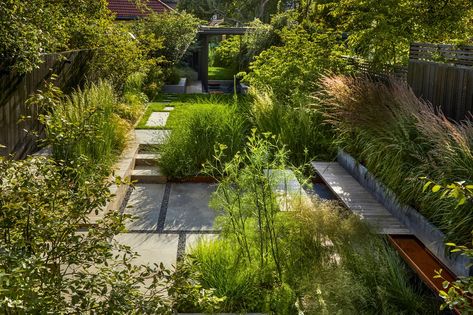 Suburban garden designed by Tom Massey Tom Massey, Suburban Garden, Narrow Garden, Magnolia Gardens, Concrete Stepping Stones, Woodland Plants, Urban Gardens, Front Yard Design, Planting Plan