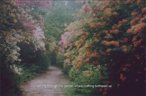 Arina Core, All The Bright Places, Movie Lines, Film Quotes, Aesthetic Words, Cherry Blossoms, Quote Aesthetic, Pretty Words, Movie Quotes