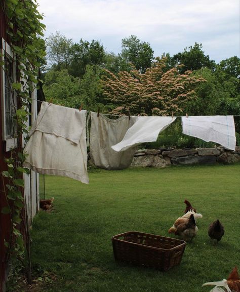 Happy Juneteenth, In My Element, Future Farms, Farm Lifestyle, Country Lifestyle, Dream Cottage, Slow Life, Cottage Living, Future Life