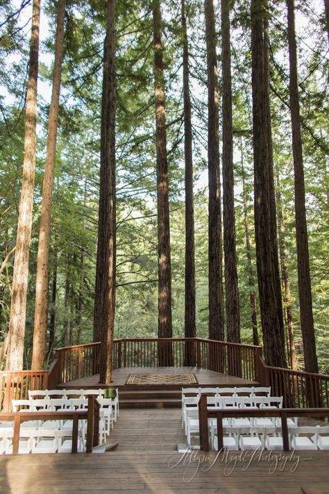 Forest Wedding Venues, Redwood Forest California, Redwood Forest Wedding, Wedding Locations California, Forest Wedding Venue, Redwood Wedding, The Redwoods, Retreat Center, Redwood Forest