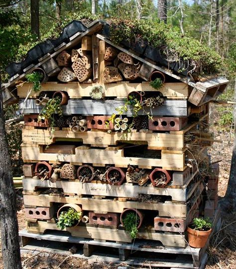 Native Pollinator Habitat - Made from pallets, bricks, bamboo, etc. Bug Hotels Diy, Pallet Bug Hotel Ideas, Bug Hotel Pallet, Insect Hotels Diy, Pallet Insect Hotel, Native Bee House, Insect Hotel, Bug Hotel, Forest School