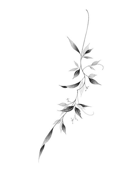 Spine Leaf Tattoos For Women, Tree Branch Spine Tattoo, Japanese Branch Tattoo, Fine Line Branch Tattoo, Greenery Tattoos, Flower Branch Tattoo, Branches Tattoo, Linear Tattoo, Minimal Tattoo Designs