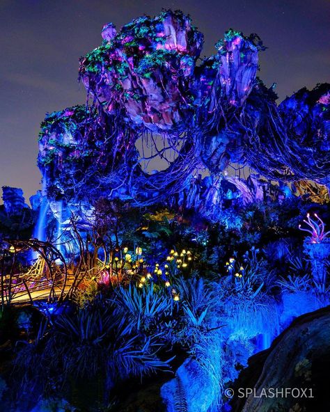 Pandora World Of Avatar, Pandora World, Avatar Pandora, Clouds Sunset, Disney Photography, Disney Side, Cinderella Castle, Disney Photos, Disney World Resorts