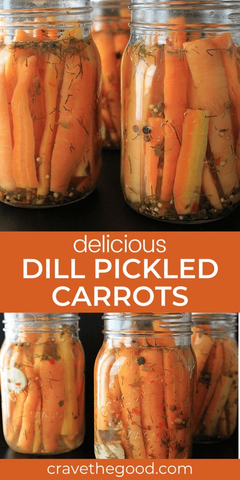 Pickled Dill Carrots, Dilled Carrots Pickled, Dill Pickled Carrots Recipe, Canned Pickled Carrots Recipe, Spicy Pickled Carrots Canning, How To Pickle Carrots Canning Recipes, Canned Spicy Pickled Carrots, Best Pickled Carrots Recipe, Best Pickled Carrots