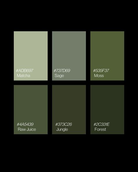 Color psychology in branding: Green health • wealth • nature • wellness #colorpsychology #pantones #greenpantone #colorpalette #branding Dark Green Colors Palette, Natural Green Colour Palette, Dark Olive Green Color Palette, Green Pantone Palette, Wedding Color Palette Green, Green Pallets, Green Branding Design, Pantone Green Colors, Green Pallet Color