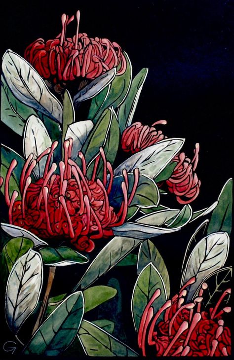 This original hand painted linocut shows off one of my favourite flowers, the Tasmanian Waratah. Tasmanian Waratahs grow wild on the slopes of kunanyi/Mt Wellington where I live in Southern Tasmania. They flower in late spring and their intense red colour seems to glow on the bush. This linocut is part of an ongoing series of mountain flowers. I hand carve the lino, and print with oil based printing ink onto Stonehenge paper. For this series, I've chosen the deep kraft-coloured Stonehenge which Waratah Drawing, Waratah Flower, Mountain Flowers, Australian Wildflowers, Australian Flowers, Pastel Poster, Australian Native Flowers, Favourite Flowers, Expressionist Art