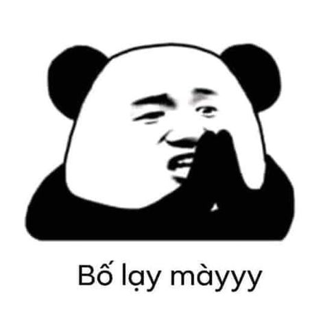 Silly Panda, Chinese Stickers, China Memes, Panda Meme, Chinese Meme, Chinese Panda, Chibi Cat, School Quotes Funny, Reaction Images