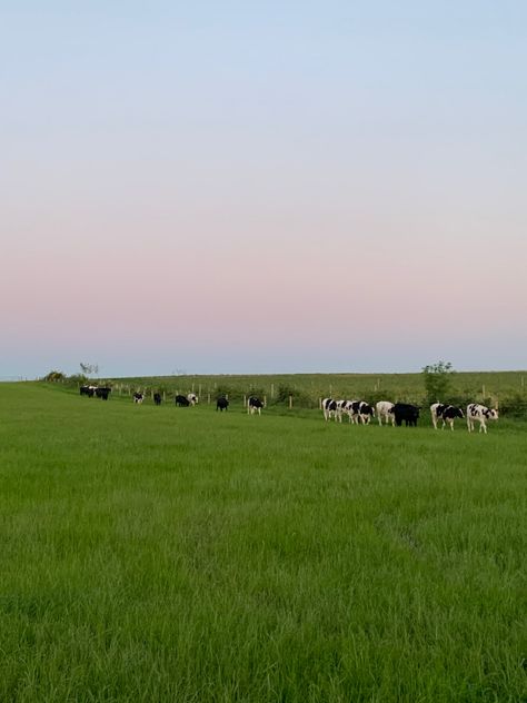 Sunset Field, Summer Green, Photo Dump, Picture Wall, Natural Landmarks, Wall, Green, Travel, Art