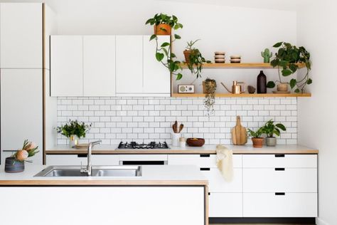 The Melbourne company leading the way in sustainable kitchens - The Interiors Addict Custom Kitchens Design, Kabinet Dapur, Sustainable Kitchen, White Kitchen Design, Scandinavian Kitchen, Kitchen Trends, Functional Kitchen, Luxury Kitchens, Kitchen Sets