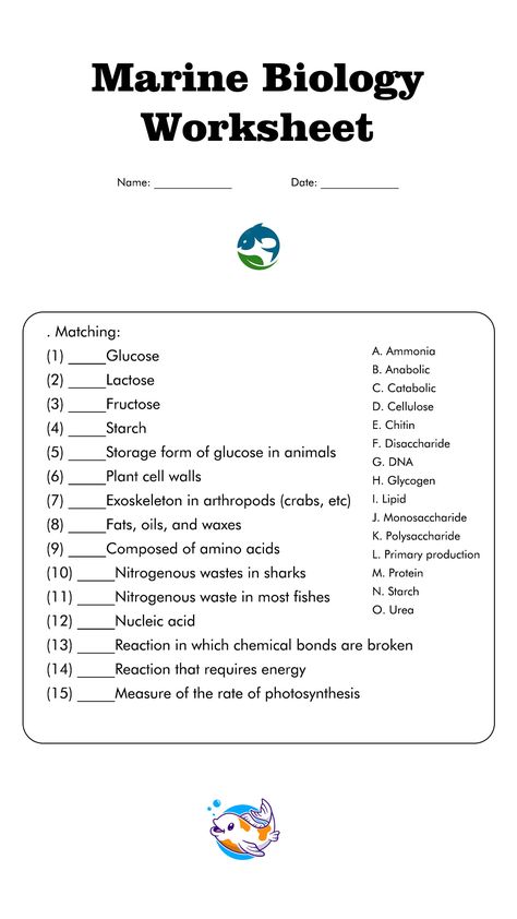 Marine Biology Worksheets High School Marine Biology Study Notes, Marine Biology Notes, What Is Biology, Worksheets High School, Biology Class 12, Biology Test, Biochemistry Notes, Healthy Fudge, Biology College