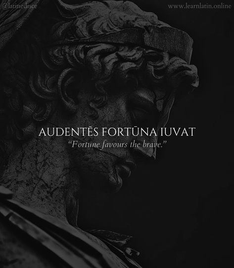 Latin Quotes About Life, Audentes Fortuna Iuvat, Greek God Wallpaper Aesthetic, Latin Proverbs, Fortune Favours The Brave, Learn Latin, Train Insane Or Remain The Same, Inspirational Quotes Encouragement, Latin Quotes