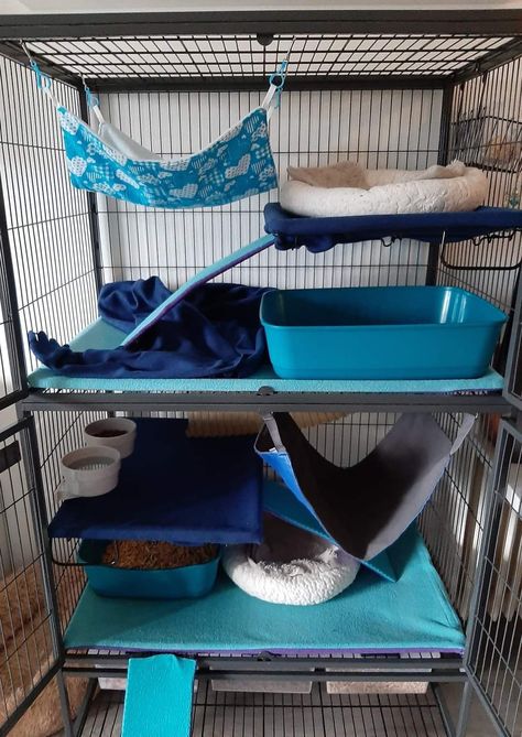 Ferret Cage Aesthetic, Ferret Playpen, Chinchilla Cage Ideas, Ferret Stuff, Ferrets Care, Pet Room, Ferret Cage, Animal Cage, Rat Cage