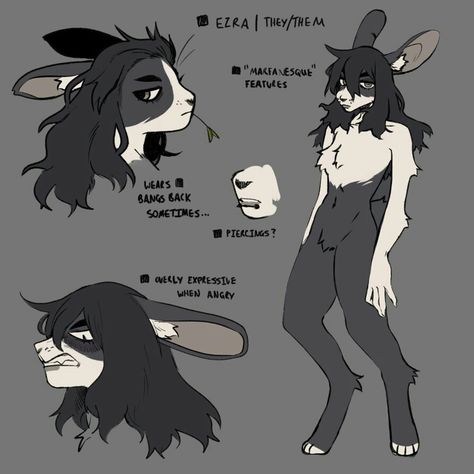 Fursona Art Bunny, Bunny Anthro Character Design, Rabbit Legs Drawing, Human Rabbit Hybrid Drawing, Bunny Oc Drawing, Bunny Fursona Ref Sheet, Rabbit Human Hybrid, Rabbit Oc Drawing, Male Bunny Oc