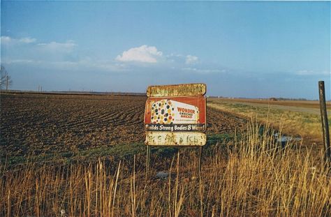 Untitled (Mississippi) by William Eggleston, ca. 1970  At War with the Obvious: Photographs by William Eggleston at Metropolitan Museum James Rosenquist, Gagosian Gallery, Claes Oldenburg, William Eggleston, Robert Frank, William Faulkner, Martin Parr, Jasper Johns, Southern Gothic