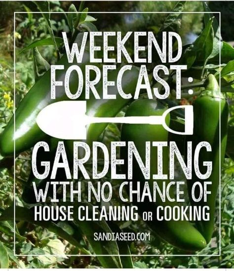 Plant Jokes, Garden Humor, Gardening Memes, Funny Garden Signs, Garden Sayings, Allotment Ideas, Gardening Quotes, Gardening Humor, Garden Fun