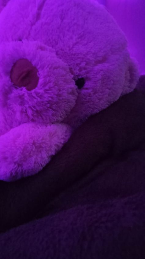 Tesla, Teddy Bear, Bed, Purple, Pink