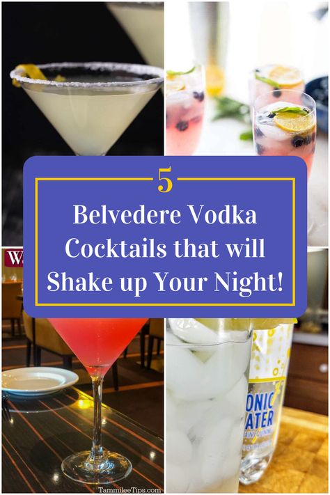 Collage of 4 belvedere vodka cocktails. Vodka Mixed Drinks, Belvedere Vodka, Picnic Birthday Party, Vodka Cocktail, Vodka Cocktails Recipes, Cocktail Ideas, Vodka Recipes, Picnic Birthday, Tasting Party