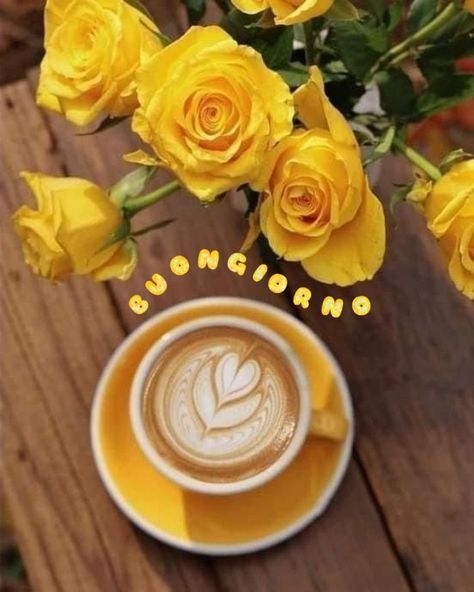 Morning Coffee Photography, Homemade Tea, Cocoa Tea, Spring Coffee, Coffee Wallpaper, Coffee Flower, Healthy Teas, Coffee Pictures, Coffee Club