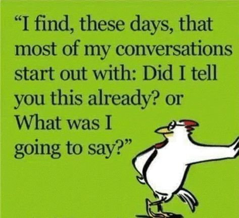 How To Start Conversations, Old Lady, E Card, Funny Signs, Bones Funny, Getting Old, Favorite Quotes, I Laughed, Me Quotes