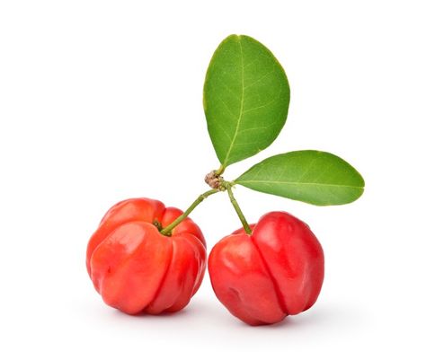 Fruit Bats, Pretty Hurts, Acerola Cherry, Fruit Market, Brazilian Cherry, Fruit Bat, Cherry Fruit, Green Leaf, Premium Photo