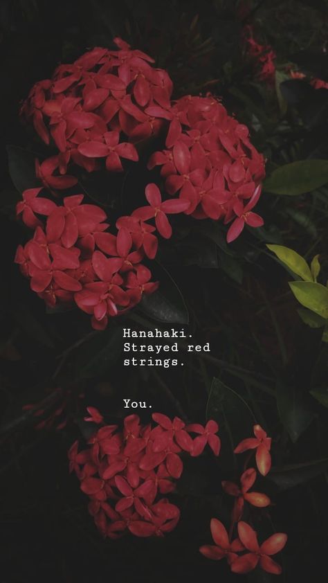 Hanahaki is a fictional disease caused due to unrequited love. Major symptom being coughing up flower petals along with dizziness and fatigue. It is quite well-known in soulmate AU/fanlore. Hana Haki Disease, Aesthetics Of Unrequited Love Wallpaper, Hanahaki Quotes, Star Tear Disease Art, Hanahaki Disease Art Aesthetic, Star Tears Disease Art, Hanahaki Flowers, Hanahaki Aesthetic, Hanaki Disease Art