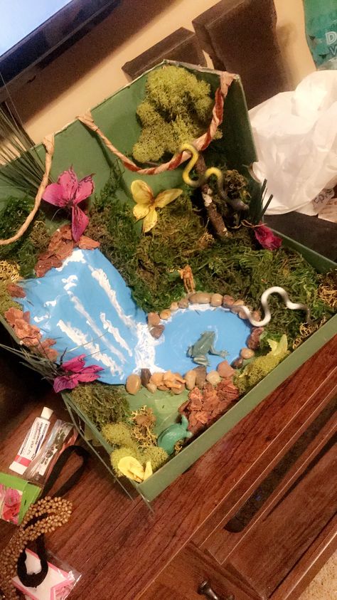 Rainforest in a shoebox! Animal Habitat Project, Plant Crafts For Kids, Rain Forest Diorama, Rainforest Diorama, Diaroma Ideas, Shoe Box Diorama, Habitat Diorama, Rainforest Crafts, Habitat Project