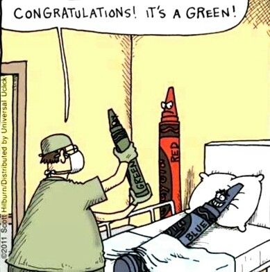 Congratulations it's a green comic crayons E Card, Fun Quotes Funny, Funny Cartoons, Funny Babies, Bones Funny, Funny Comics, Funny Cute, Funny Jokes, Funny Pictures