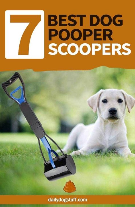 Top 7 Best Dog Pooper Scoopers for 2020  #dogpoop #dogpooperscooper #dogpoopbag #dogpoopcleaner via @dailydogstuff Train Dog, Dog Pooper Scooper, Pooper Scooper, Pet Supplies & Accessories, Siberian Husky Puppies, Rottweiler Puppies, Dog Care Tips, Dog Daycare, Dogs Pooping