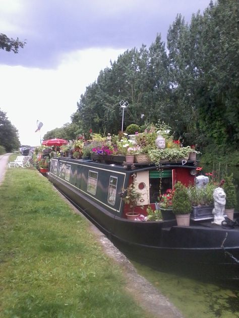 Barge selling plants on the Grand Union Canal near Kensal Green. Canal Boat Narrowboat, Barge Boat, Narrowboat Interiors, Canal Barge, Boat House Interior, Living On A Boat, Unusual Homes, Boat Interior, Canal Boat