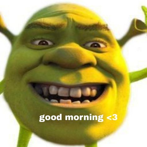 Good Morning Reaction Meme, Cursed Good Morning Images, Good Morning Reaction Pic Cute, Good Morning Cursed Image, Good Morning Shawty, Good Morning Mood Pics, Morning Reaction Pics, Good Morning Wholesome, Good Morning Reaction