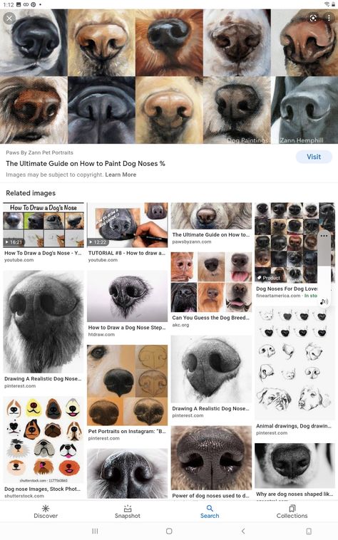 Hyper Realistic Dog Drawing, Dog Nose Painting, Draw Dog, Dog Face Drawing, Dog Noses, Dog Portrait Drawing, Dog Drawing Tutorial, Eyes Realistic, Dog Nose Print