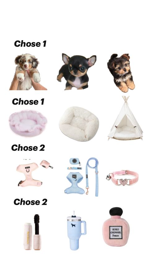 Preppy Cheetah, Dog Shopping, Puppy Essentials, Dog Supplies List, Preppy Dog, Cool Room Designs, Puppy Mom, Samoyed Puppy, Puppy Accessories