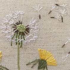 Embroidery Dandelion, Bordado Jacobean, Herb Embroidery, Botanical Embroidery, Basic Embroidery Stitches, Embroidery Stitches Tutorial, Hand Embroidery Flowers, Pola Sulam, Embroidery Flowers Pattern