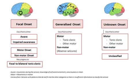 Seizure Types and Classification | Epilepsy Action Australia Myoclonic Seizures, Epileptic Seizures, Absence Seizures, Types Of Seizures, Seizures Awareness, Stages Of Sleep, Pharmacology Nursing, Brain Activities, Sleep Deprivation