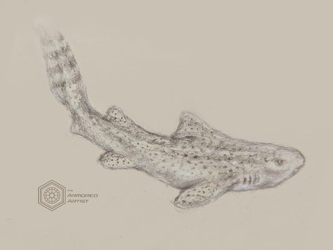 A sketch done in Cretacolor pencils on toned paper Zebra Shark Drawing, Shark Sketch, Zebra Shark, Shark Drawing, Toned Paper, Drawing Sketches, Sketch, Drawings, Art