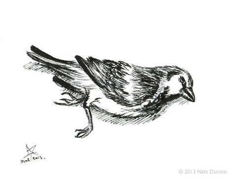 Dead bird ink sketch Dead Bird Drawing, Dead Animal Drawing, Dead Bird Tattoo, Iron Man Drawing, Weird Ideas, Dead Bird, Alevel Art, Dead Animals, Painting Stuff