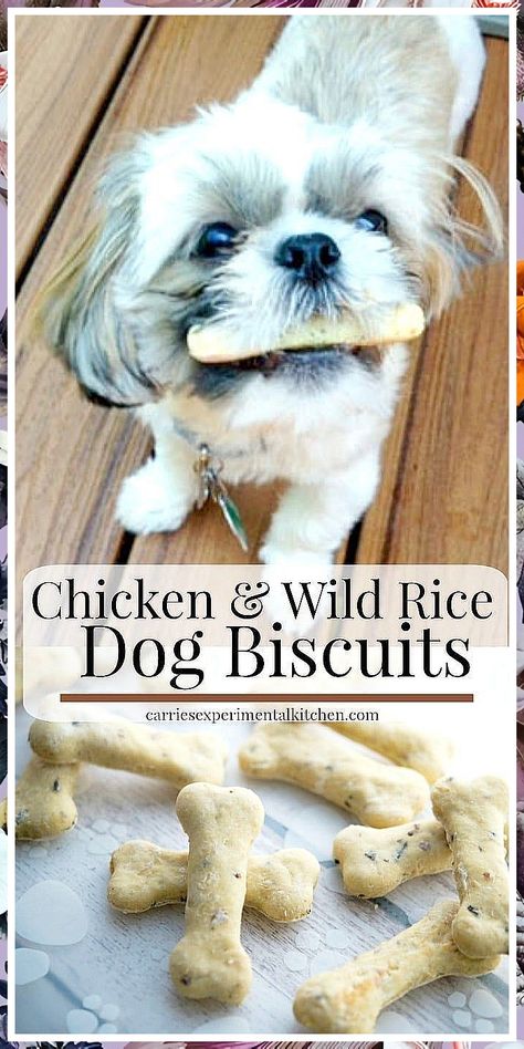 Dog Food - If you found what you love, it's very crucial that you take action immediately - Visit For More! Biscuits Homemade, Chicken Wild Rice, Chicken Dog Treats, Perro Shih Tzu, Pet Treats Recipes, Christmas Dog Treats, Easy Dog Treat Recipes, Easy Dog Treats, Healthy Dog Treats Homemade