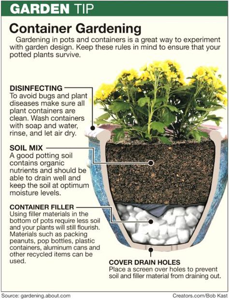 Taman Diy, Tanaman Pot, Tanaman Indoor, نباتات منزلية, Container Gardening Flowers, Kraf Diy, Garden Containers, Small Space Gardening, Flowers Garden