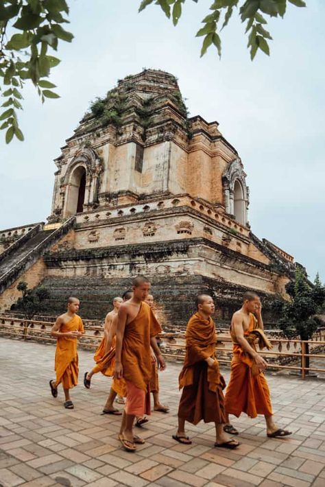 10 BEST Things To Do In Chiang Mai, Thailand 10 Chiang Mai Thailand Photography, Travelling Asia, South East Asia Backpacking, Rich City, Doi Inthanon National Park, Bangkok Travel Guide, North Thailand, Thailand Pictures, Thailand Itinerary