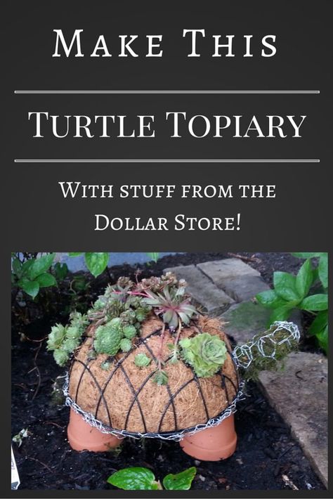 A Succulent Turtle Topiary Succulent Turtle, Turtle Planter, Growing Ginger, Cinder Block Garden, Garden Frogs, Topiary Garden, Succulent Gardening, Garden Markers, Seasonal Garden