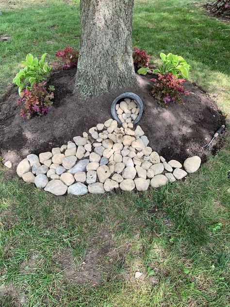 Landscaping Around Tree Roots - The Honeycomb Home Raised Landscaping Beds, Diy Rock Garden, Easy Landscaping Ideas, Front Porch Landscape, Creative Landscaping, Landscaping Rock, Landscaping Around Trees, Shade Tolerant Plants, Garden Netting