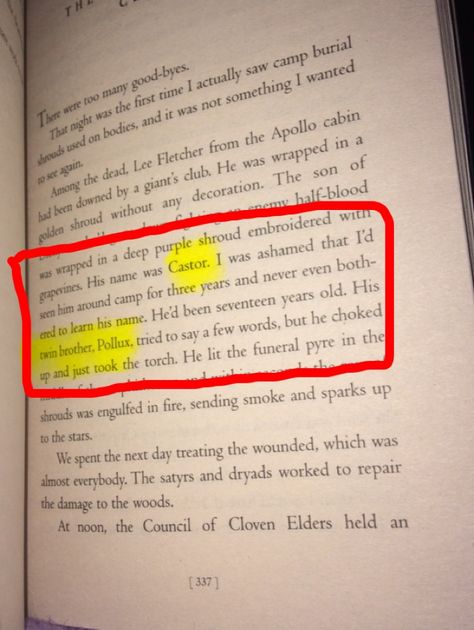 Percy Jackson The Battle Of The Labrynth, Castor And Pollux Percy Jackson, Pollux And Castor, The Battle Of The Labyrinth, Battle Of The Labyrinth, Percy Jackson Series, Apollo Cabin, Fangirl Book, Book Scenes