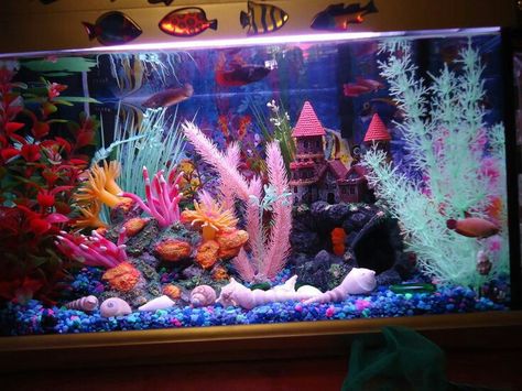 Sorority Fish Tank, Colorful Fish Tank Ideas, Betta Fish Tank Ideas 10 Gallon, Glo Fish Tank Ideas, Glofish Tank Ideas, Betta Sorority Tanks, 10 Gallon Fish Tank Ideas, Colorful Fish Tank, Betta Sorority