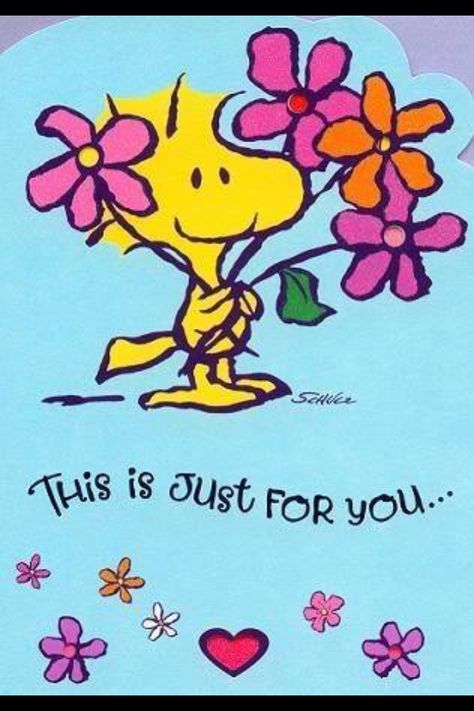 "Little Birdie" Woodstock Peanuts, Lucy Van Pelt, Snoopy Funny, Snoopy Images, Peanuts Cartoon, Snoopy Quotes, Snoopy Pictures, Snoop Dog, Snoopy Love