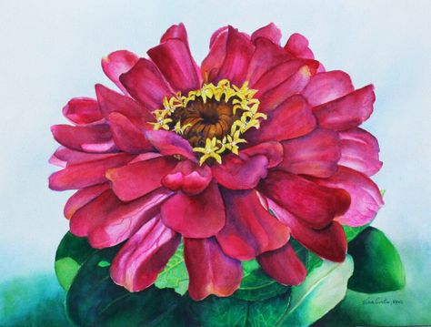 Zinnia watercolor Zinnia Painting, Watercolor Zinnias, Zinnia Watercolor Paintings, Acrylic Painting Zinnias, Paintings Of Zinnias, Zinnia Watercolor, Zinnia Botanical Illustration, Zinnia Flowers, Watercolor Flowers Tutorial