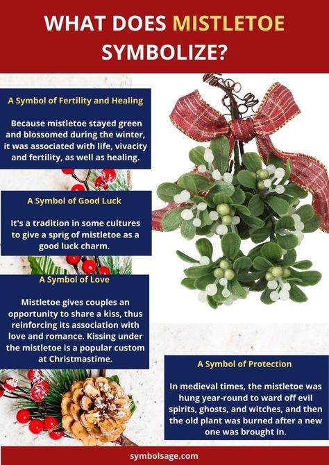 Mistletoe is often viewed as a symbol of romance, good luck, healing and fertility. Here's why. Mistletoe Meaning, Mistletoe Quote, Small House Decor, Kissing Under The Mistletoe, Home Decor Balcony, Balcony Decoration Ideas, Balcony Decor Ideas, Happy Winter Solstice, Balcony Decoration