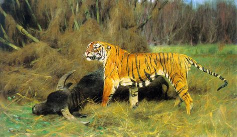 Wilhelm Kuhnert, Leopard Painting, Hunting Art, Tiger Painting, Big Cats Art, Cats Artists, Wildlife Paintings, Tiger Art, Wildlife Artists