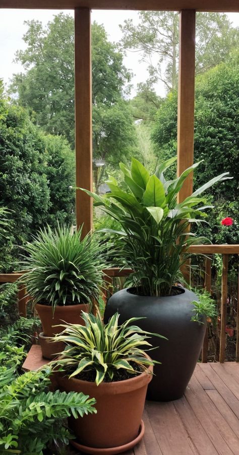 25 Outdoor Potted Plants Ideas » Comfy Ideas Outdoor Patio Ideas Plants, Large Balcony Plant Ideas, Potted Plants On Patio, Covered Patio Plants In Pots, Tropical Patio Plants In Pots, Deck Decorating Pots & Planters, Best Outdoor Potted Plants, Balcony Pots & Planters, Potted Plant Landscaping